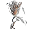 Chimpanzé