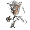 Chimpanzé
