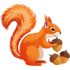 Cute Squirrel