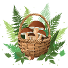 Mushroom basket with Karl Johan