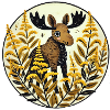Moose