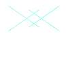 Mushrooms