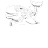 Beluga-wal, Meeresbewohner, Wal-meeres-ketologie