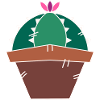 Cactus Succulent