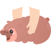 Angry Pygmy Hippo