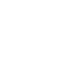 Varnisher