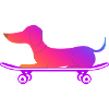 Dackel mit Skateboard