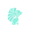Aquarium Aquarist