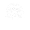 Air traffic controller