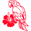 Parrot Animal Hibiscus