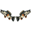 Pisces