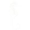 Hippocampe 01