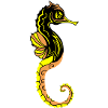 Seahorse 02