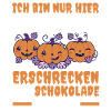Halloween Costume Pumpkin Halloween