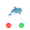 Dolphin Calls Humorous Graphic