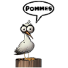 Seagull Funny Meme
