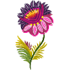 Schöne isolierte Blumen