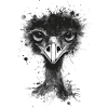 Emu