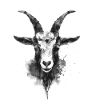 Chèvre