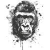 Gorilla