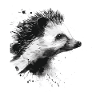 Igel