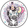 Zebra Birthday Baby