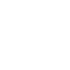 Precious Denis