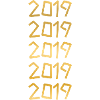 2019