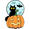 Cat on pumpkin