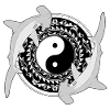 Yin Yang Hammerhaie