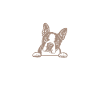 Cadeaux Boston Terrier