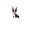 Boston Terrier Gifts