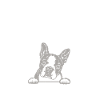 Cadeaux Boston Terrier