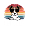 Jack Russell Terrier Owner