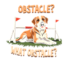 Agility