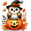 Halloween-Eule im Kürbis:herbstlicher Gruselspaß