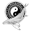 Yin Yang Humpback Whales