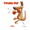 Tough Me Boxing Lesson Boxer Kangaroo