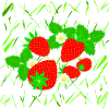 Fraises de différentes tailles