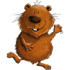 Funny Wombat Australia Wildlife