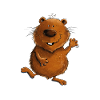 Cuddly But Muscular Wombat Australia