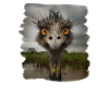 Emus Emu