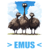 Emus Emu