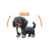 Coffee and Alpine Dachsbracke