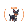 Café et Kelpie australien