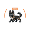Café et Berger Hollandais