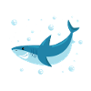 Cool Shark Squad con vibrazioni estive da tavola da surf