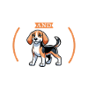 Coffee and English Foxhound