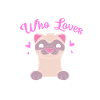 Ferret