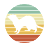 Ferret